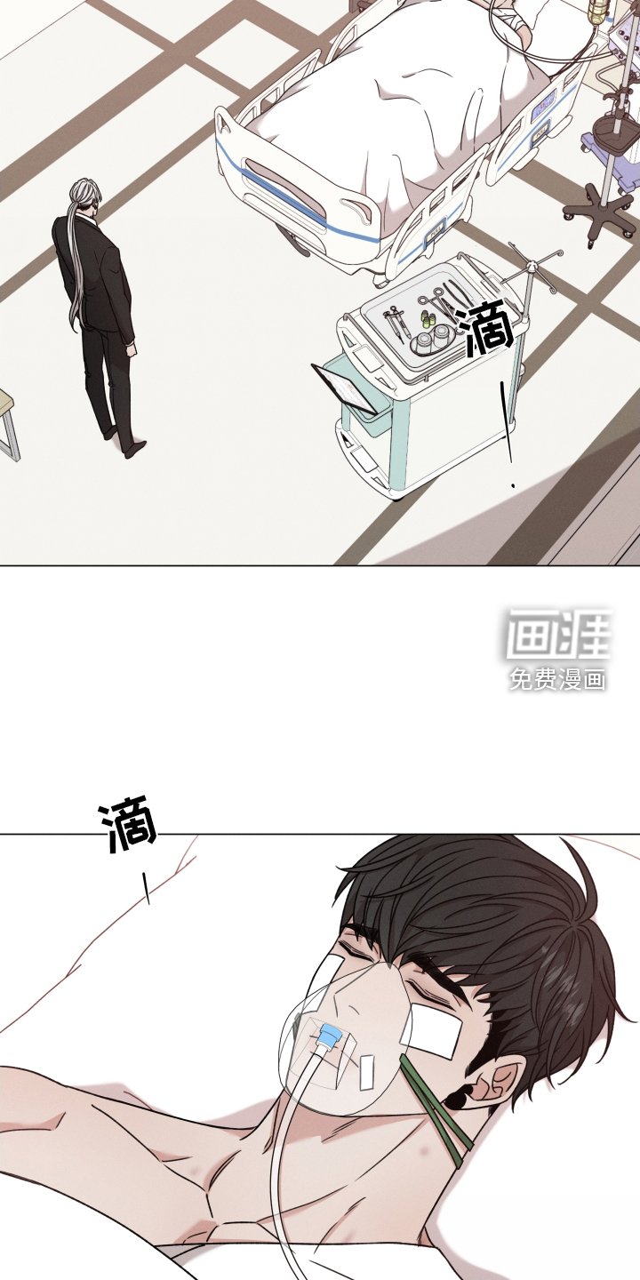 第106章：【第二季】不能没有你