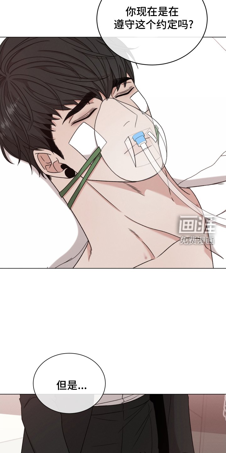 第106章：【第二季】不能没有你