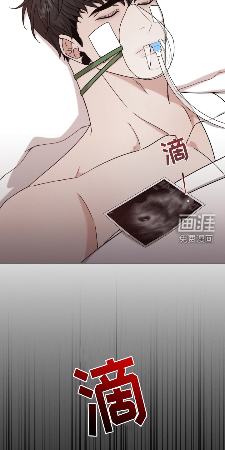 第106章：【第二季】不能没有你