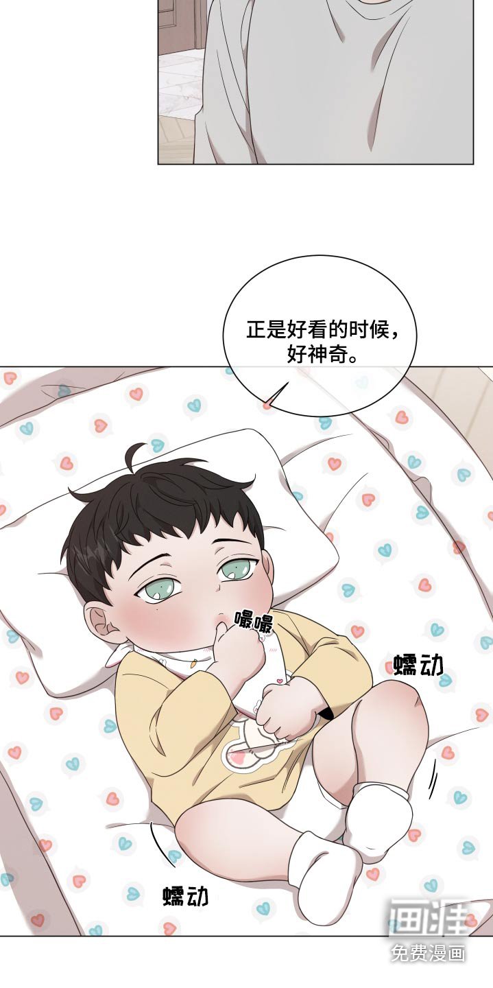 第115章：【番外】照片