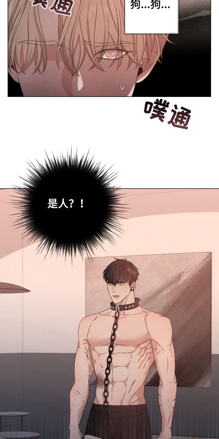 第13章：是人