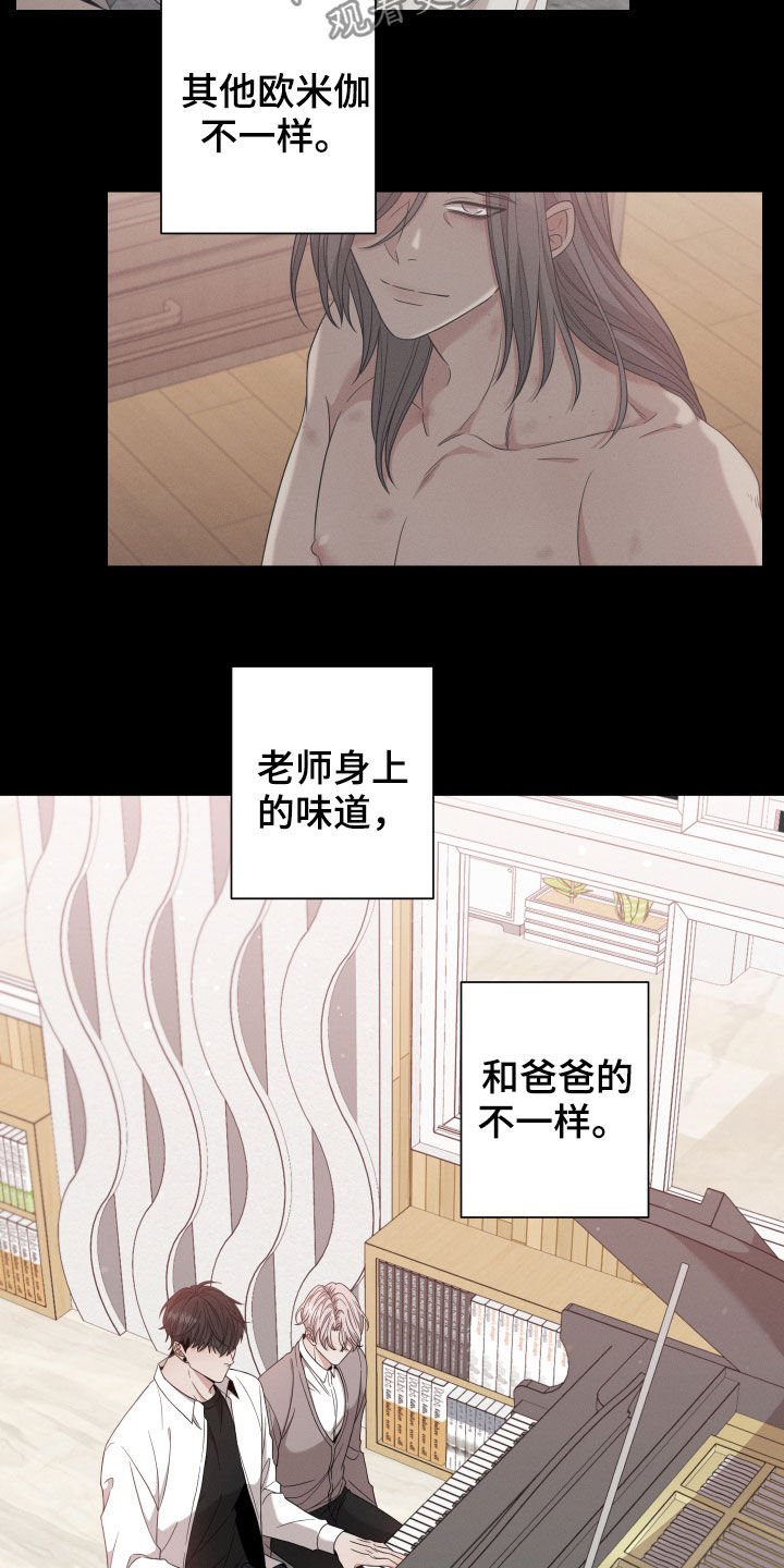 第17章：阴谋