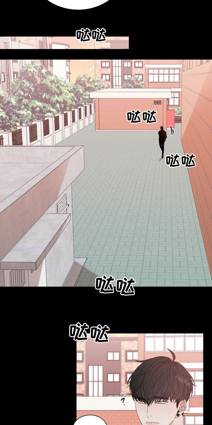 第17章：阴谋