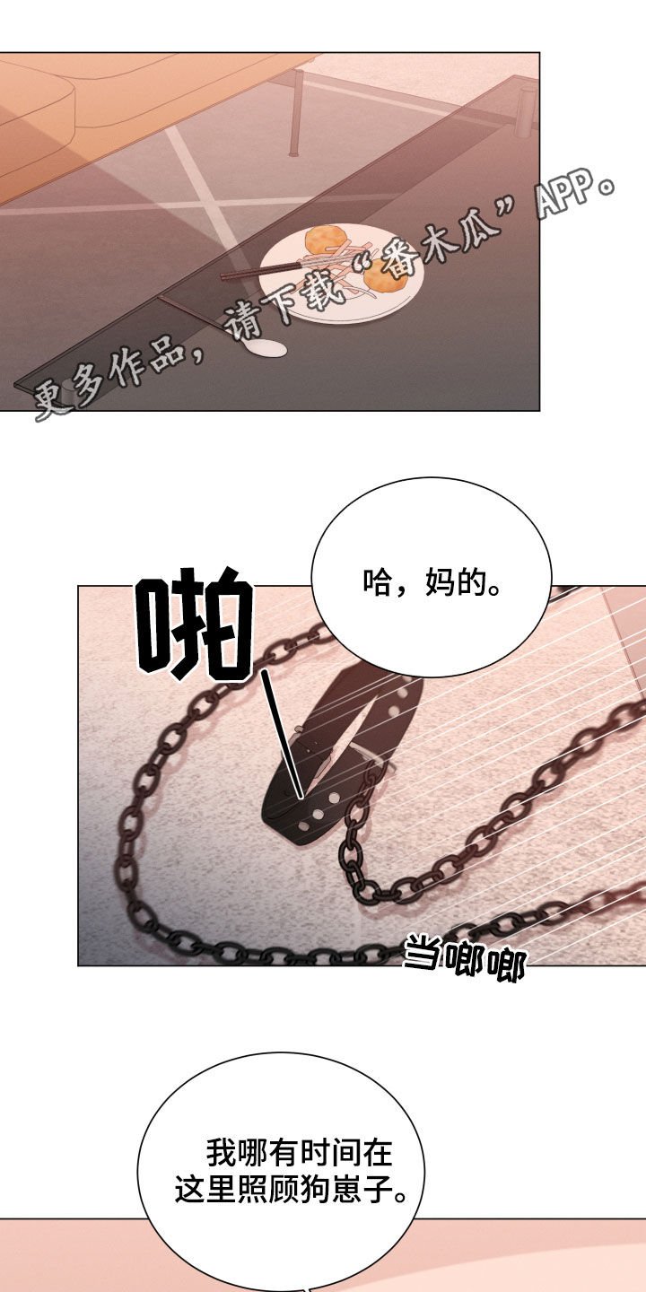 第20章：名贵的种类