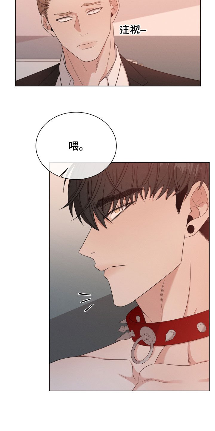 第20章：名贵的种类