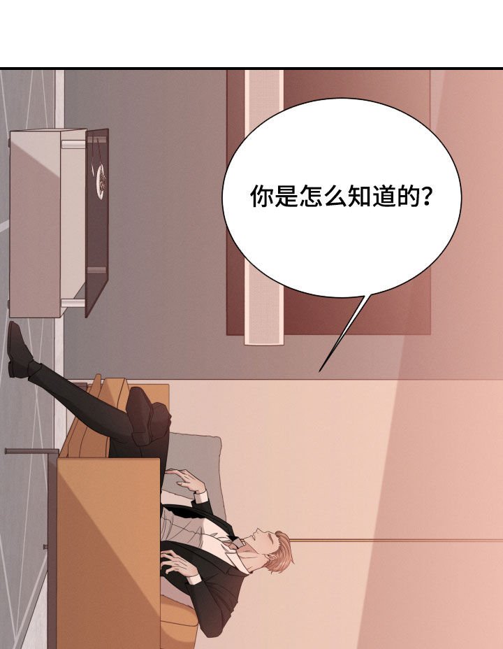 第20章：名贵的种类