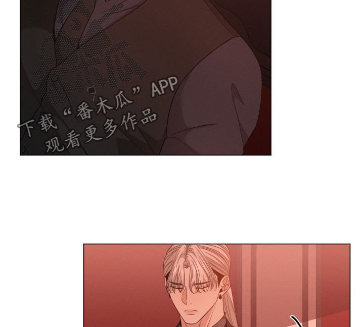 第20章：名贵的种类