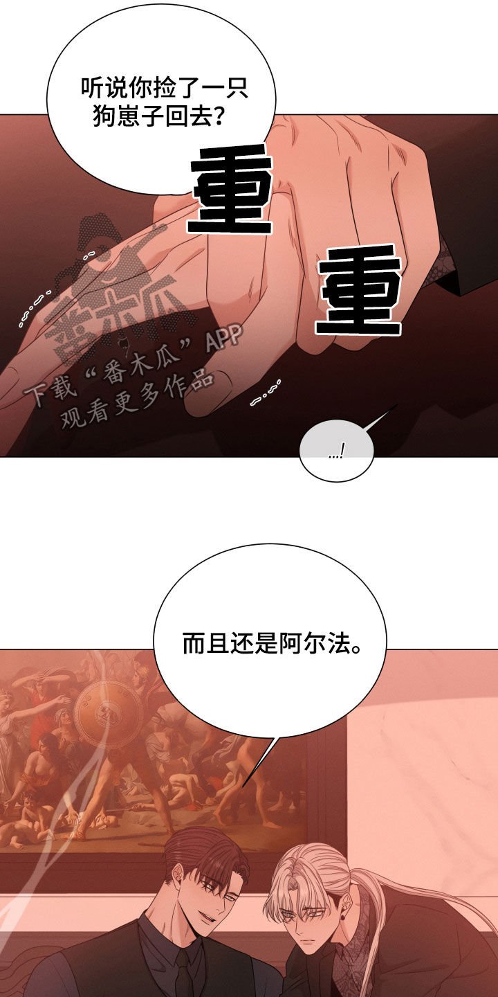 第20章：名贵的种类