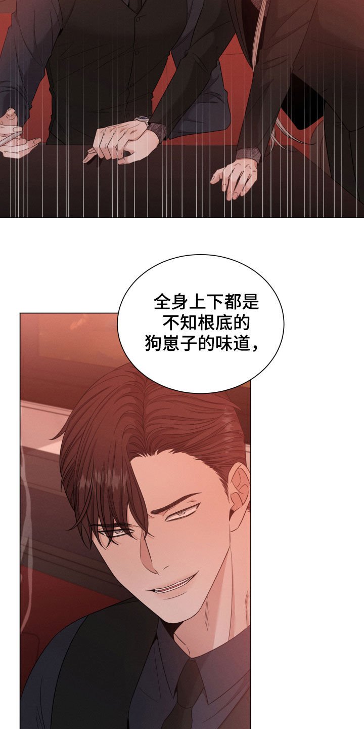 第20章：名贵的种类