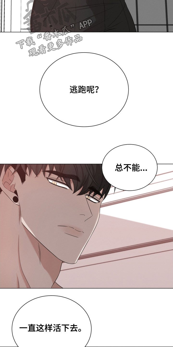 第25章：劝逃