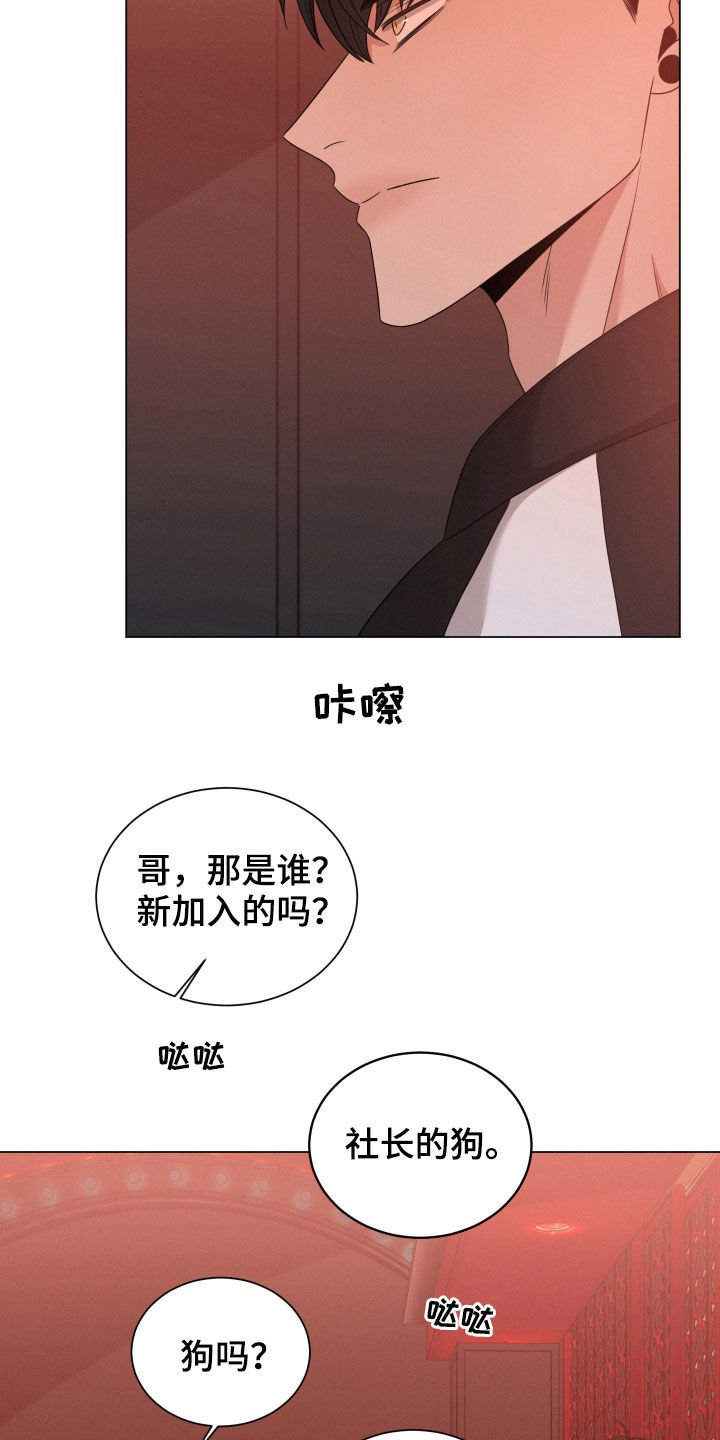 第27章：传闻
