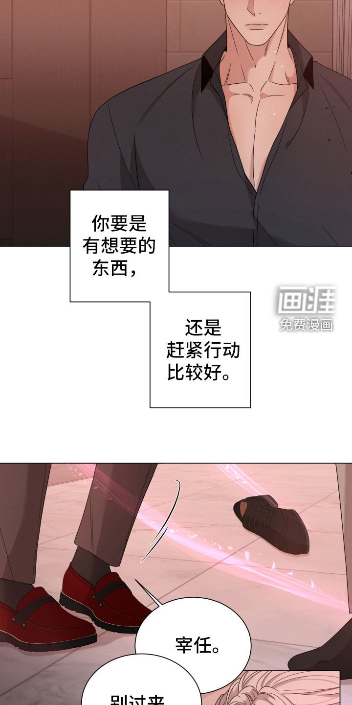 第36章：选择
