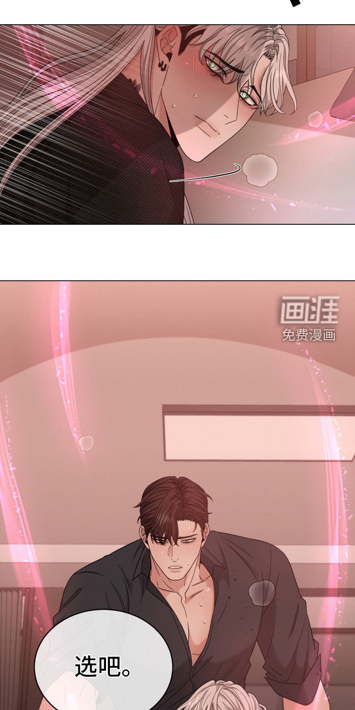 第36章：选择