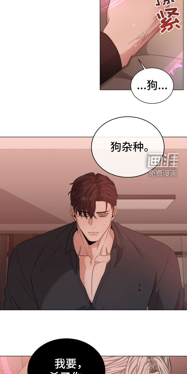 第36章：选择
