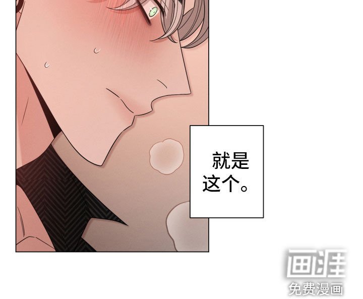 第36章：选择