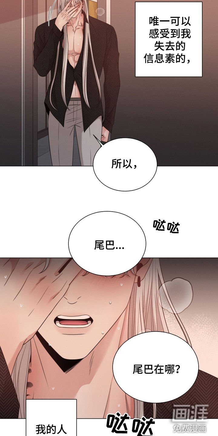第39章：值得一试