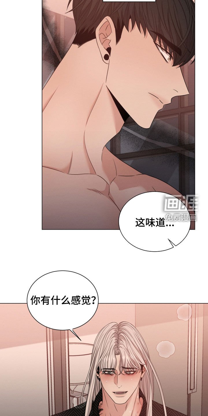 第39章：值得一试