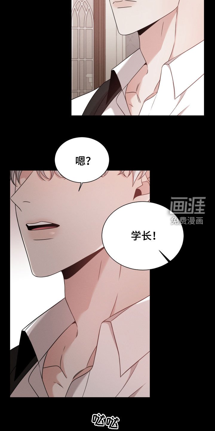 第41章：从未怀疑