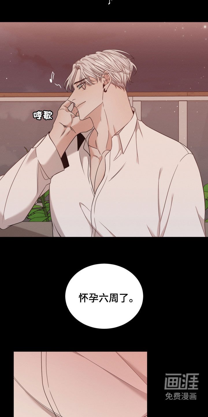 第42章：怀孕