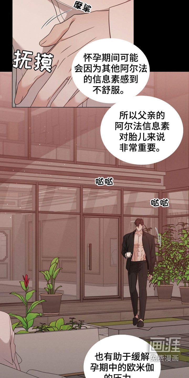 第42章：怀孕