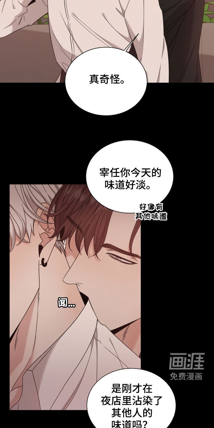 第42章：怀孕