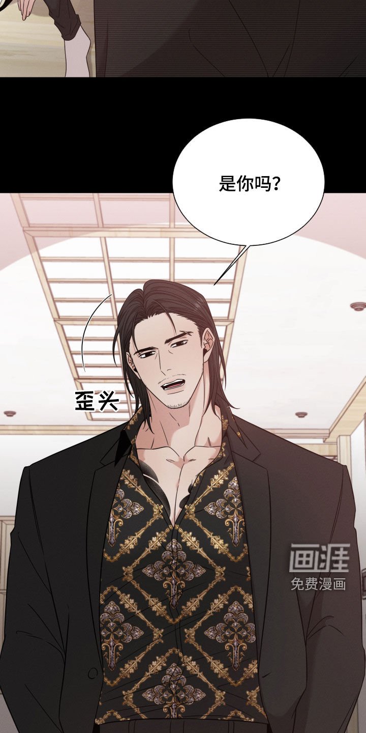 第44章：黑社会