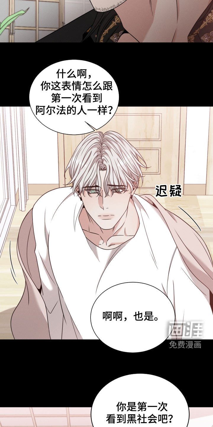 第44章：黑社会