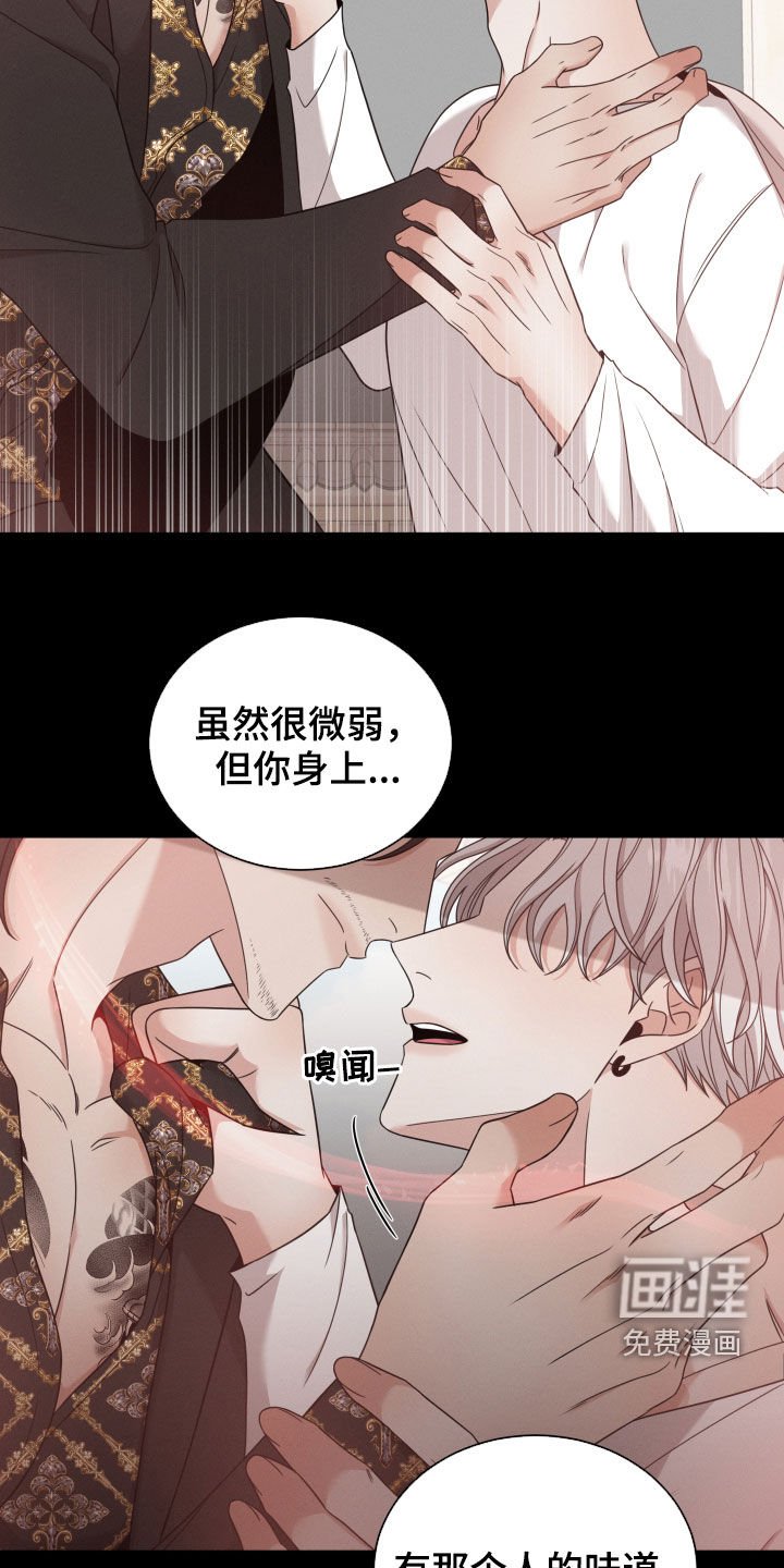 第44章：黑社会