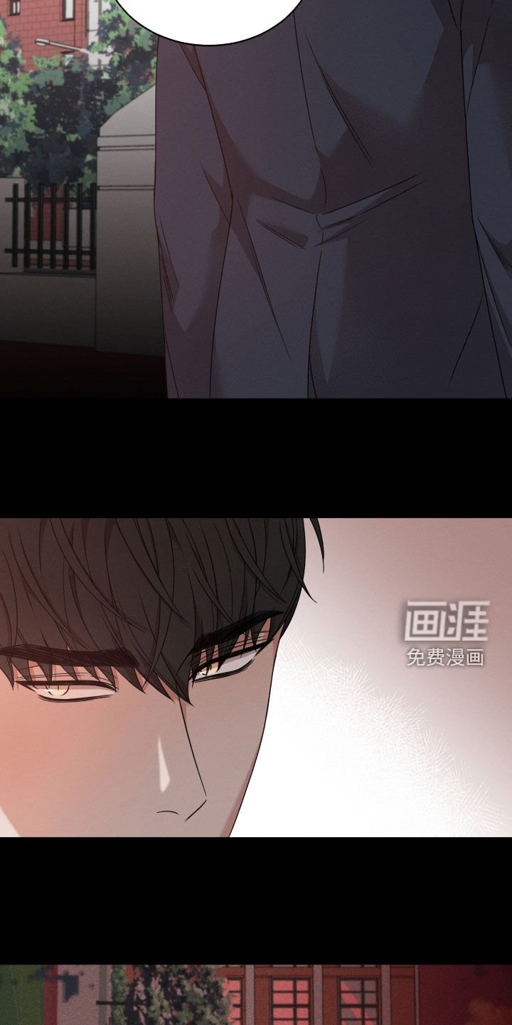 第52章：【第二季】全部被毁了