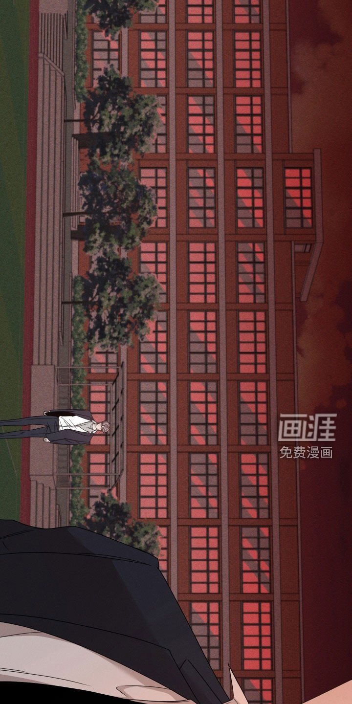 第52章：【第二季】全部被毁了
