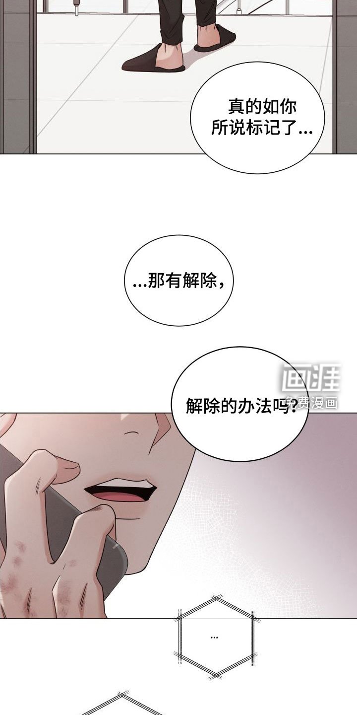 第55章：【第二季】标记