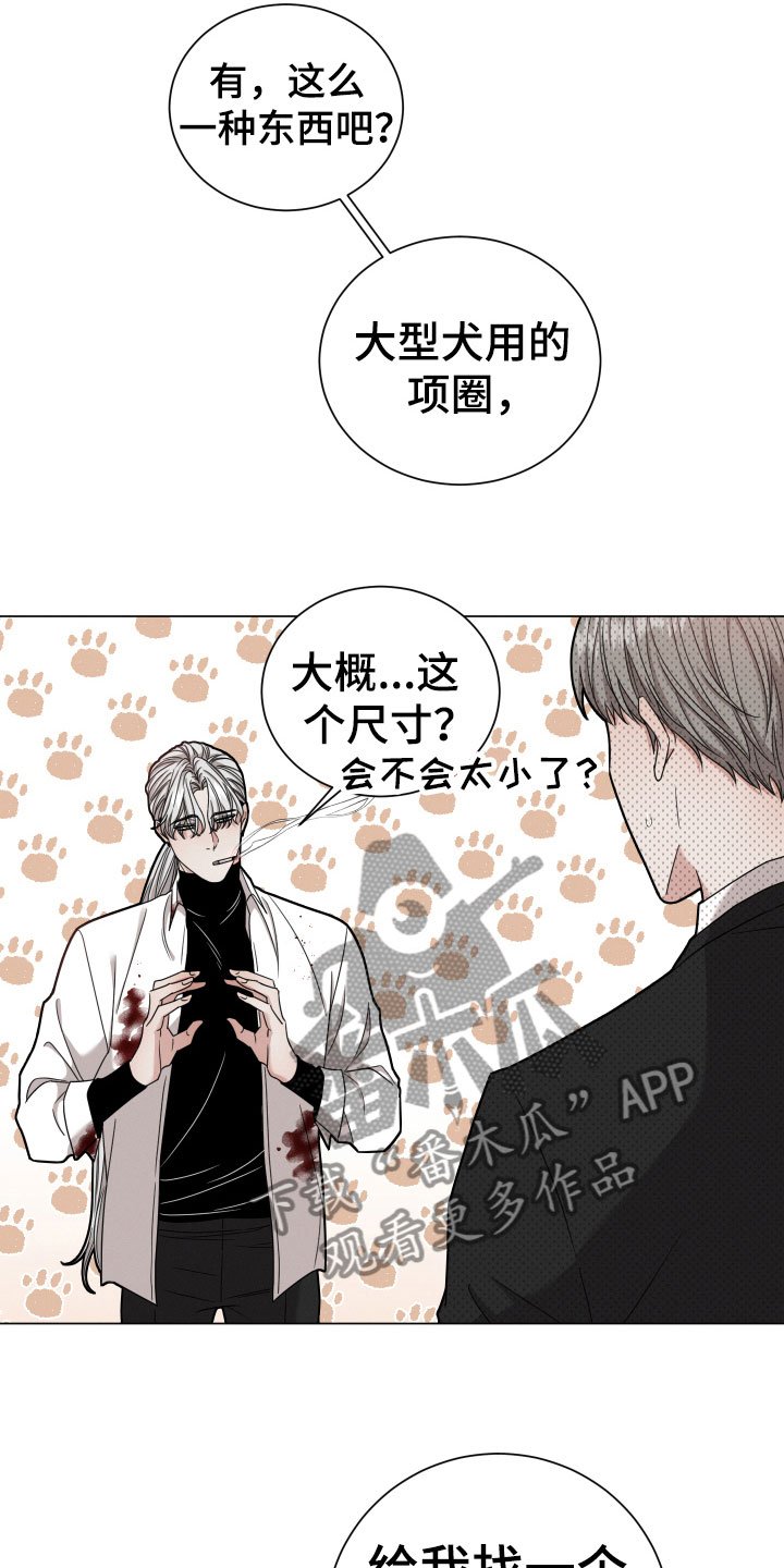 第6章：疯子