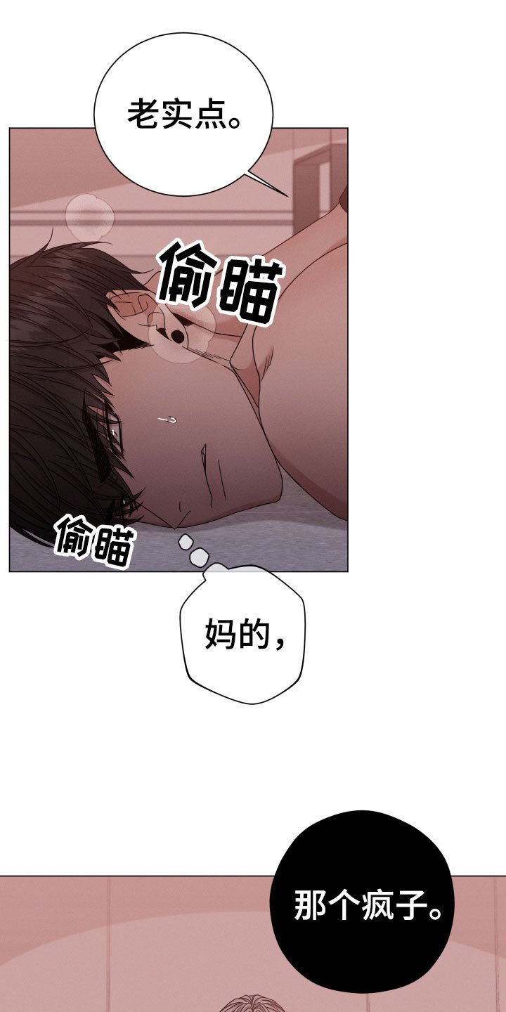 第6章：疯子