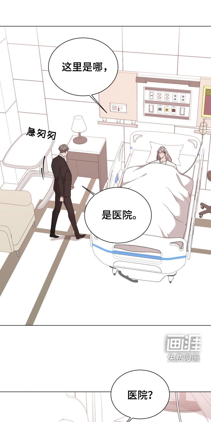 第76章：【第二季】怀孕