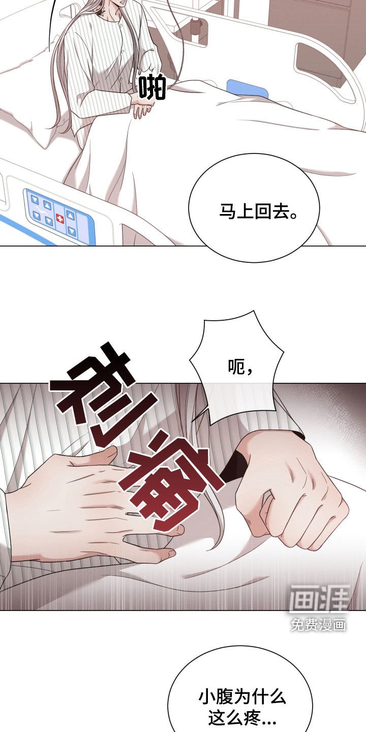 第76章：【第二季】怀孕