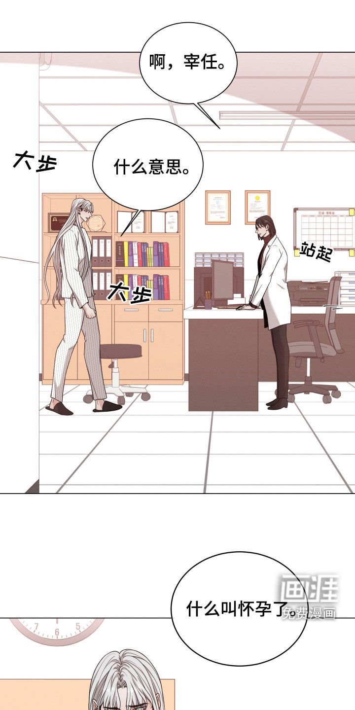第76章：【第二季】怀孕