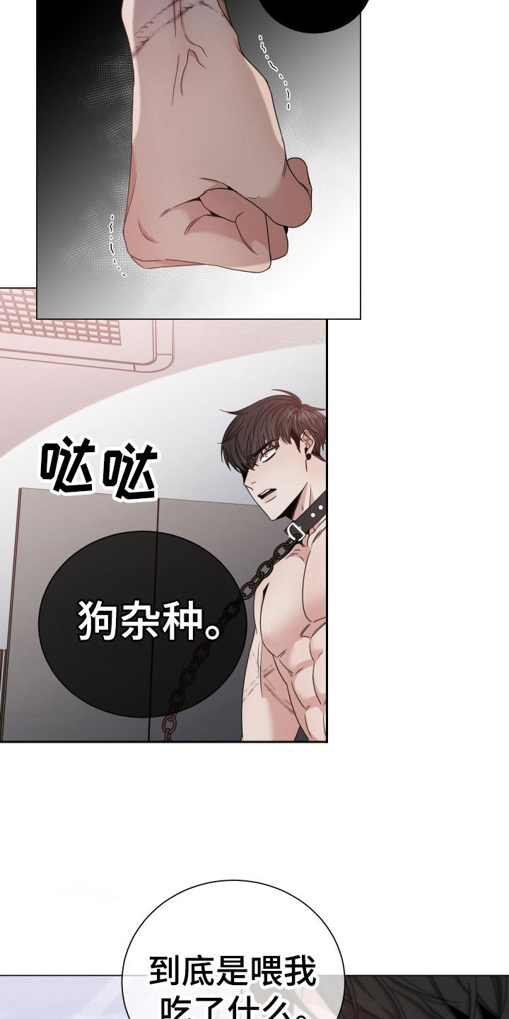 第8章：听说