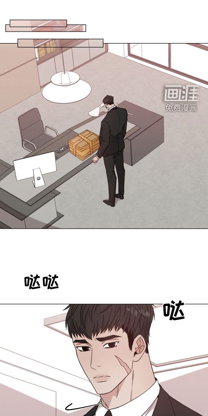 第93章：【第二季】包裹