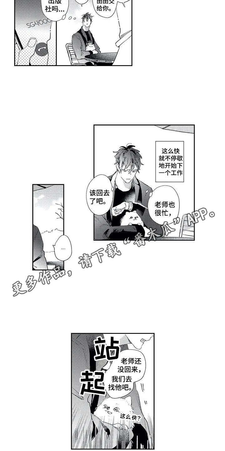 第10章：散步