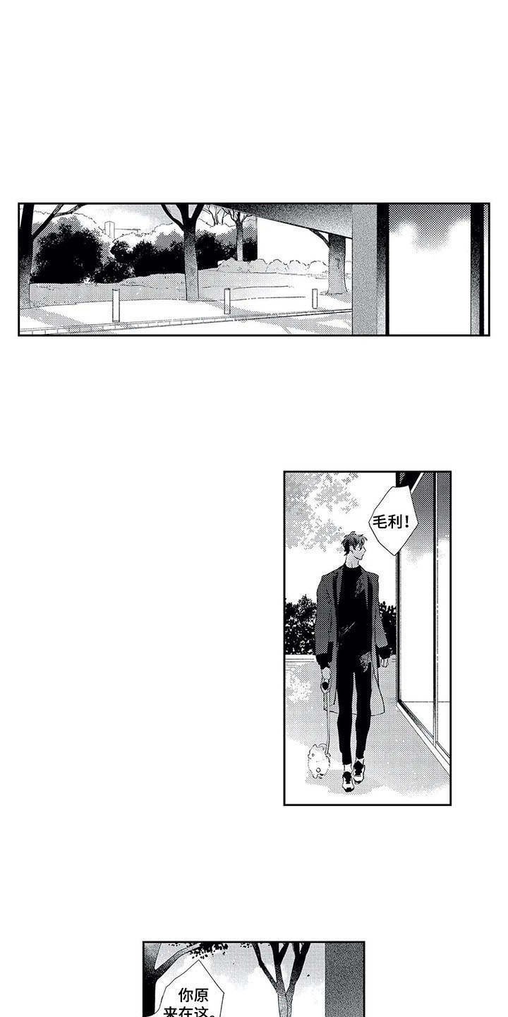 第10章：散步