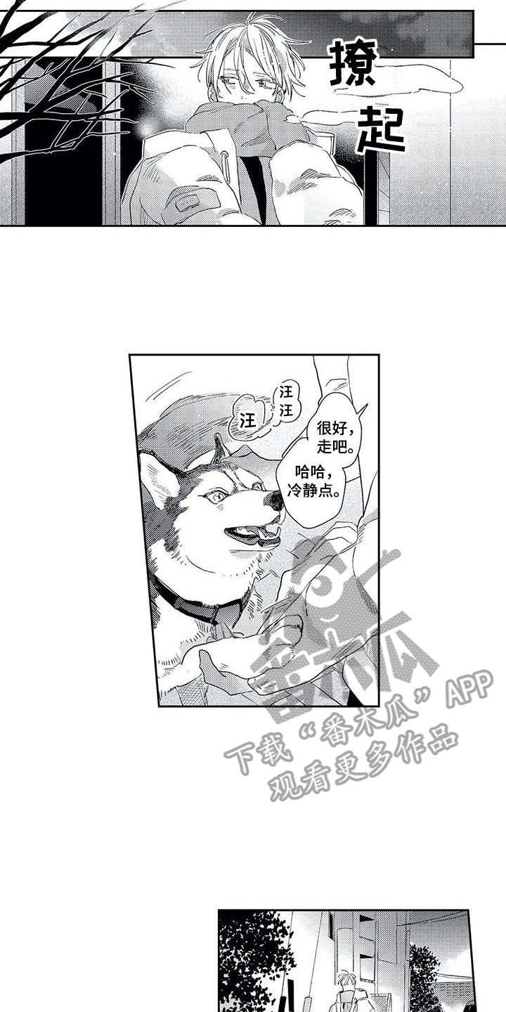 第14章：梦