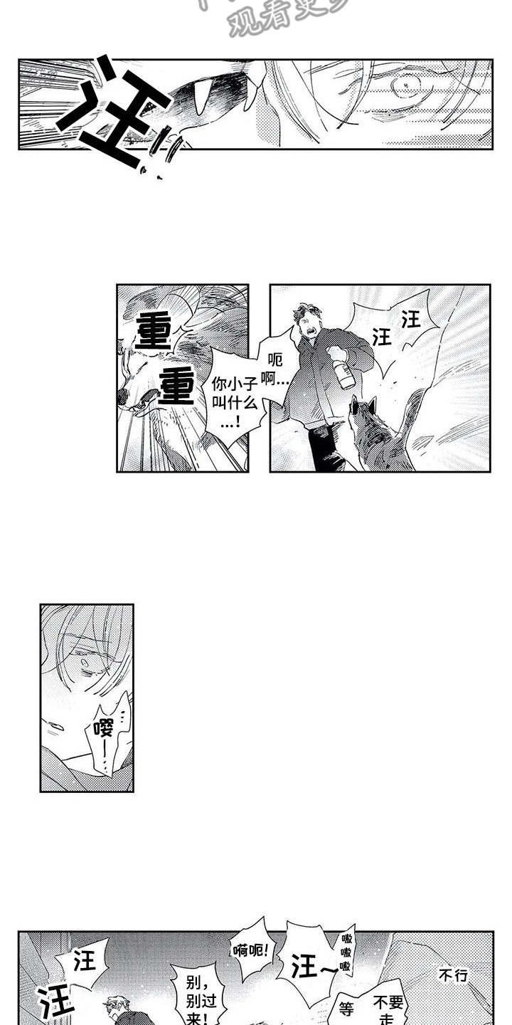 第15章：我的错