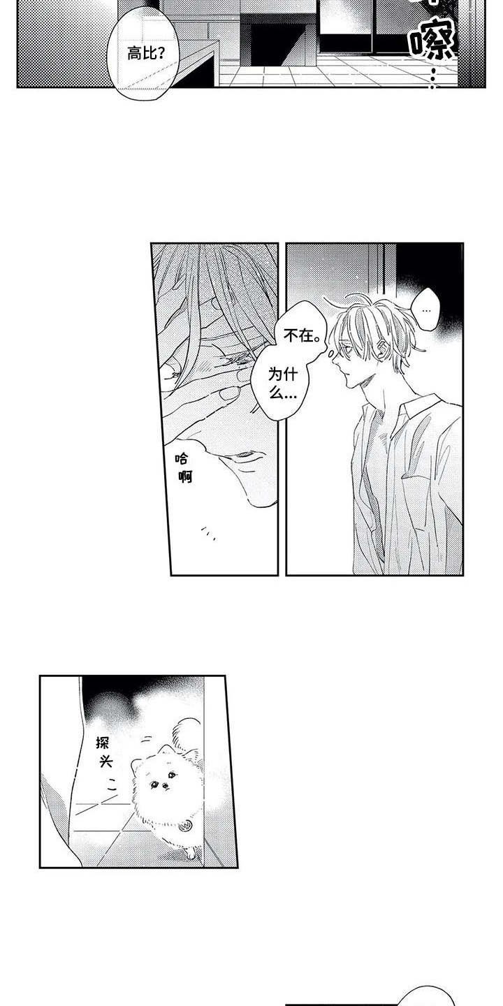 第15章：我的错