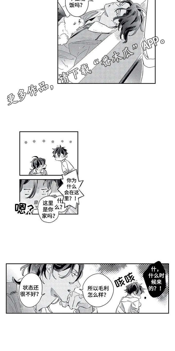 第17章：办法