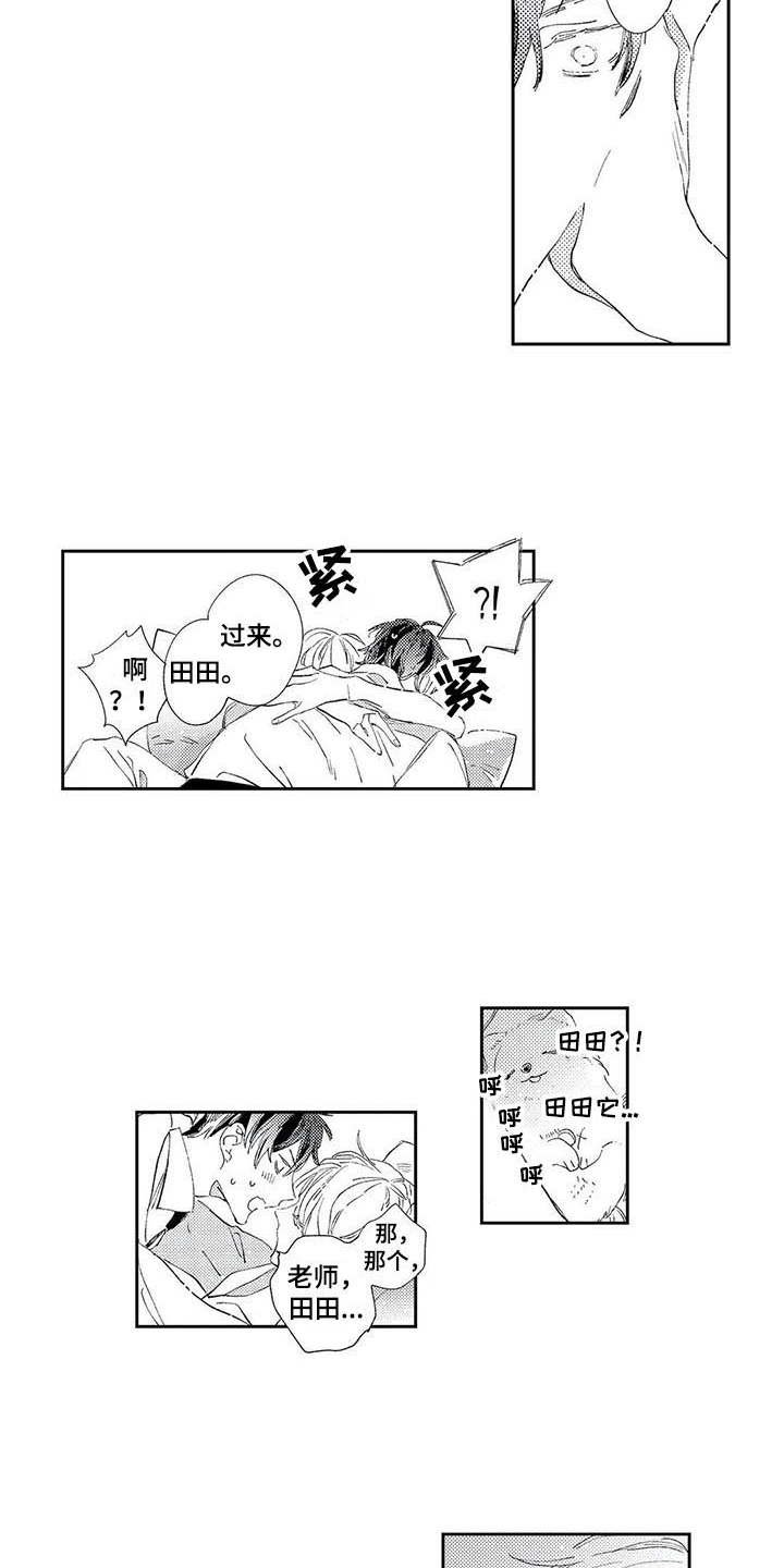 第3章：神奇的人