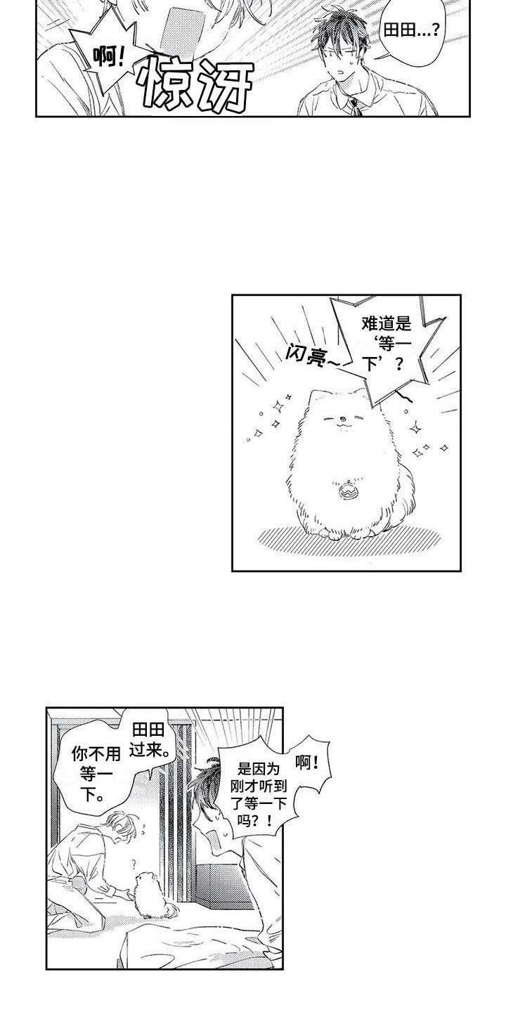 第6章：约定