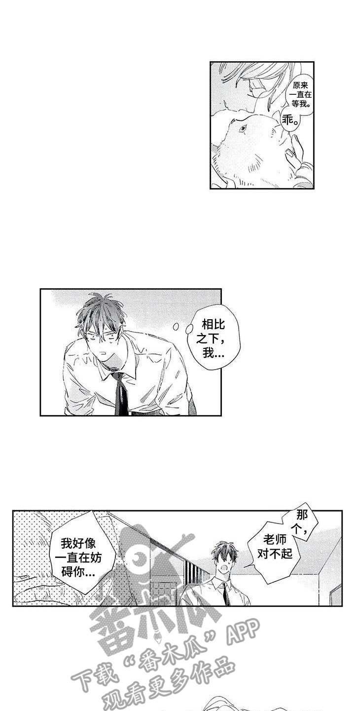 第6章：约定
