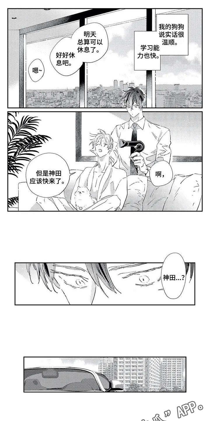 第8章：奖励
