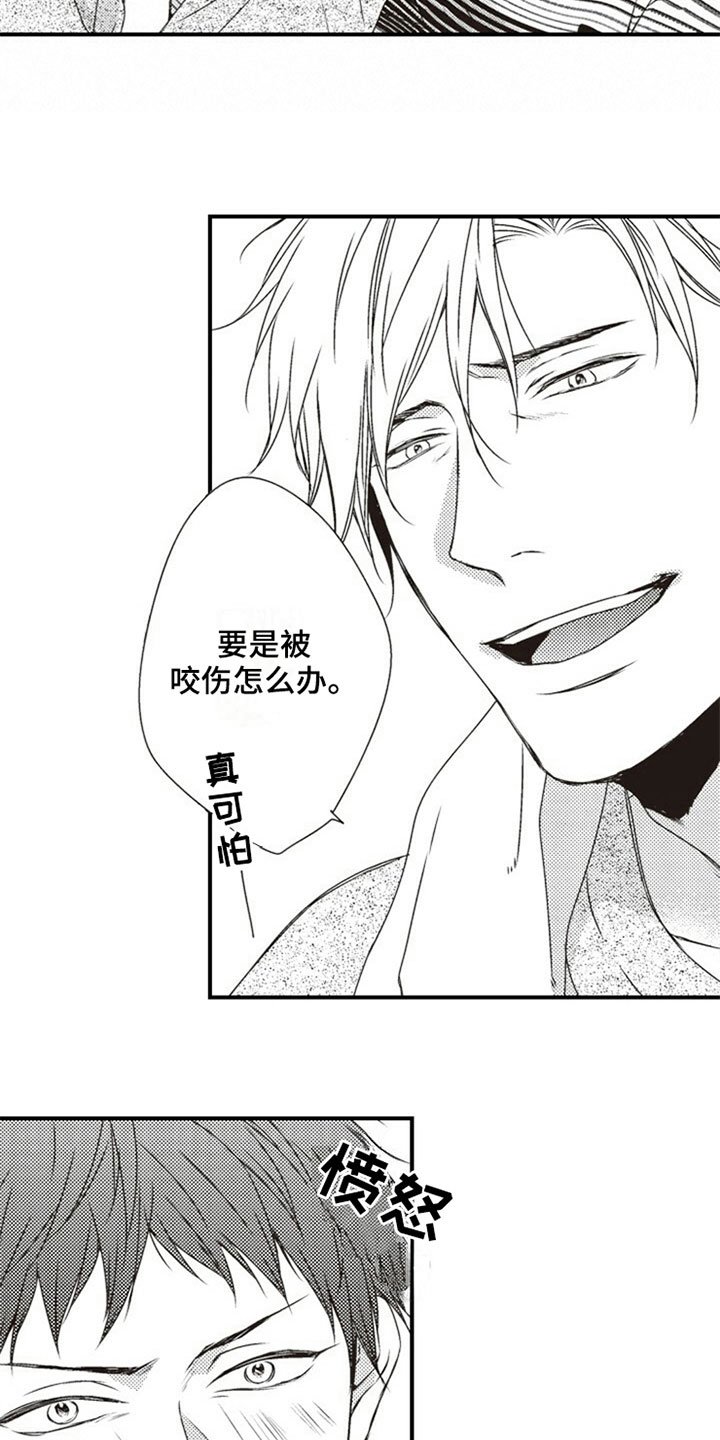 第11章：提议