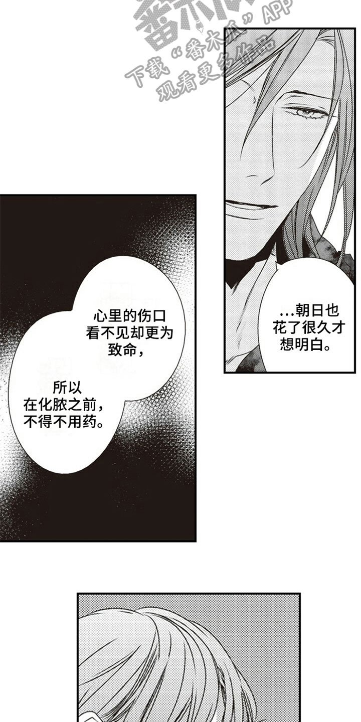 第13章：伤口
